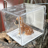 Little Critterz Boxer Puppy Miniature Figurine