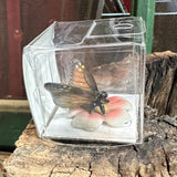 Little Critterz Butterfly Miniature Porcelain Figurine