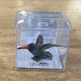 Little Critterz Broad Billed Hummingbird Miniature Porcelain Figurine