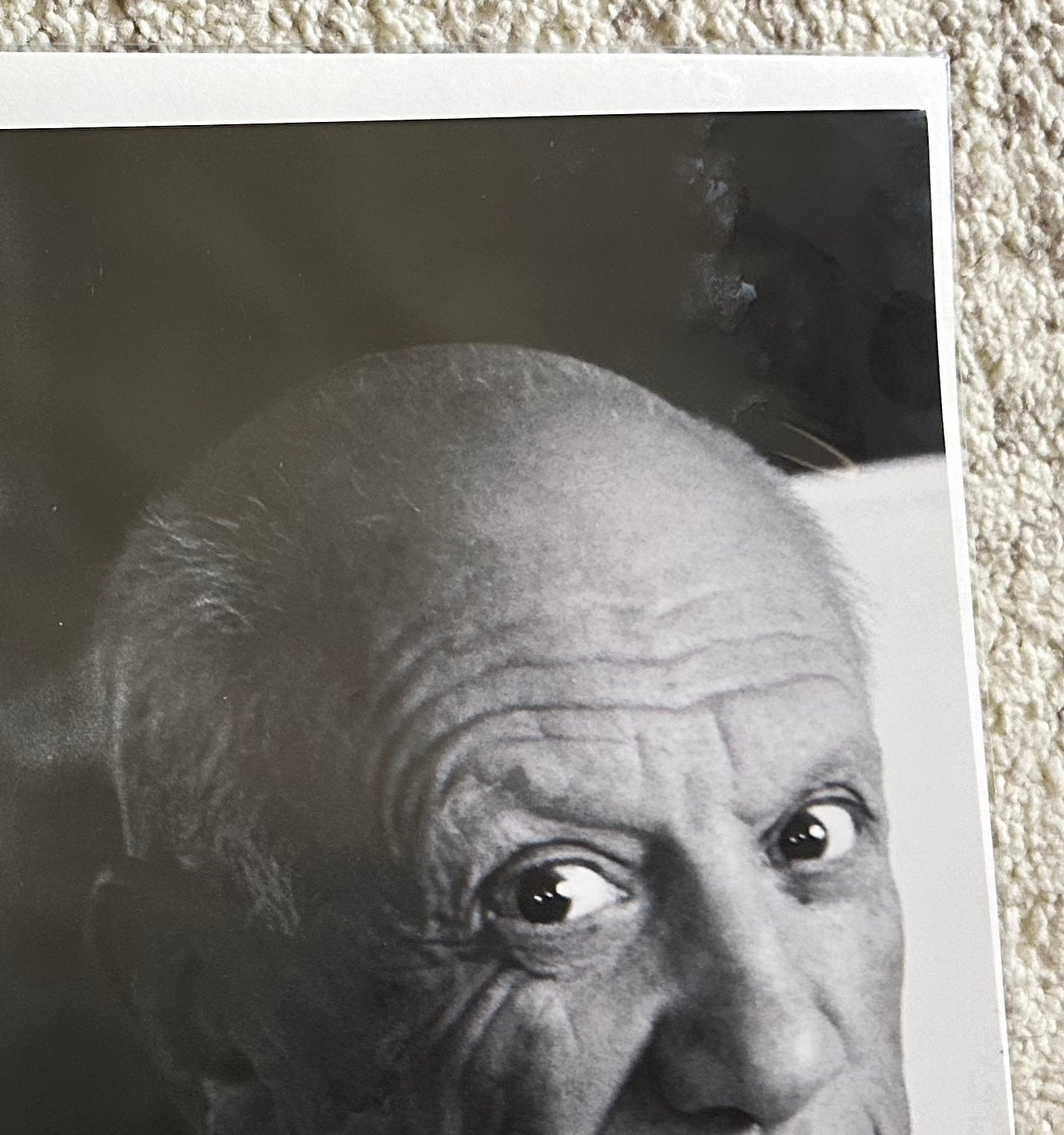 新品 Picasso／ The Development of a Genius Picasso Birth of a Genius, 1972 American First | eBay