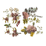 Iron Orchid Designs IOD Floral Anthology Rub On Transfer Pad 4 Pages, 12” x 16”