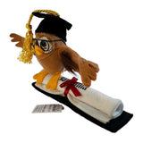 Annalee Wise Owl Graduation Diploma Mortarboard 2025 New College High School