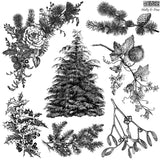 Iron Orchid Designs Holly & Pine 12” x 12” Stamp