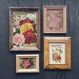 Iron Orchid Designs IOD Seed Catalogue Rub On Transfer 8 Pages, 8” x 12”