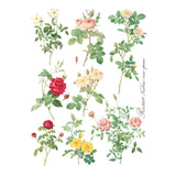Iron Orchid Designs Rose Botanical Rub On Transfer, 8 Page Pad, 12” x 16”