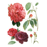 Iron Orchid Designs IOD Redoute II Rub On Transfer, 8 Page Pad, 12” x 16”