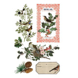 Iron Orchid Designs IOD Winter Botanist Rub On Transfer Pad, 8 Pages, 8” x 12”