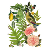 Iron Orchid Designs IOD Bungalow Rub On Transfer 8 Pages, 12” x 16”