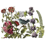 Iron Orchid Designs IOD Botanists Journal, Rub On Transfer Pad, 4 Pages, 16” x 12”