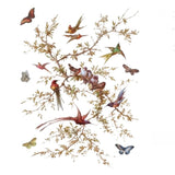 Iron Orchid Designs IOD Madeleine Rub On Transfer Pad 8 Pages, 12” x 16”