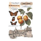 Iron Orchid Designs IOD Saint Quen™ Rub On Transfer Pad 8 Pages, 8” x 12”