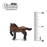 Little Critterz Justin Morgan Horse Colt Pony Miniature
