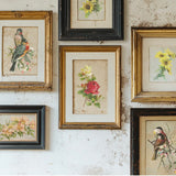 Iron Orchid Designs Catharina Rub On Transfer Pad, 8 Pages, 8” x 12”