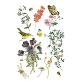 Iron Orchid Designs Wilde Bloemen Rub On Transfer Pad, 8 Pages, 8” x 12”