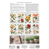 Iron Orchid Designs IOD By Any Other Name™ Rub On Transfer Pad 8 Pages, 8” x 12” Roses Butterflies