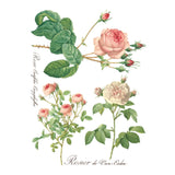 Iron Orchid Designs Rose Botanical Rub On Transfer, 8 Page Pad, 12” x 16”