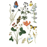 Iron Orchid Designs Wilde Bloemen Rub On Transfer Pad, 8 Pages, 8” x 12”