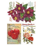 Iron Orchid Designs IOD Seed Catalogue Rub On Transfer 8 Pages, 8” x 12”