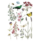 Iron Orchid Designs Wilde Bloemen Rub On Transfer Pad, 8 Pages, 8” x 12”