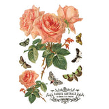 Iron Orchid Designs IOD By Any Other Name™ Rub On Transfer Pad 8 Pages, 8” x 12” Roses Butterflies