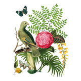 Iron Orchid Designs IOD Bungalow Rub On Transfer 8 Pages, 12” x 16”