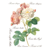 Iron Orchid Designs Rose Botanical Rub On Transfer, 8 Page Pad, 12” x 16”