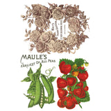 Iron Orchid Designs IOD Seed Catalogue Rub On Transfer 8 Pages, 8” x 12”