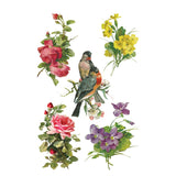 Iron Orchid Designs Catharina Rub On Transfer Pad, 8 Pages, 8” x 12”