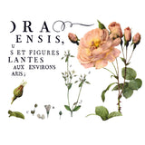 Iron Orchid Designs IOD Flora Parisiensis Rub On Transfer, 12” x 16” Pad, 4 Pages