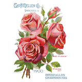 Iron Orchid Designs IOD Ephemeral Melange Rub On Transfer Pad 8 Pages, 8” x 12”