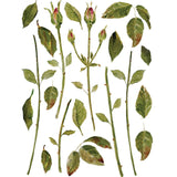 Iron Orchid Designs Painterly Florals Rub On Transfer Pad, 8 Pages, 12” x 16”