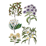 Iron Orchid Designs IOD Sarah Featon’s Botanicals Rub On Transfer Pad 8 Pages 8” x 12”