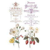 Iron Orchid Designs IOD Saint Quen™ Rub On Transfer Pad 8 Pages, 8” x 12”