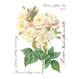 Iron Orchid Designs Rose Botanical Rub On Transfer, 8 Page Pad, 12” x 16”