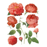 Iron Orchid Designs IOD Redoute II Rub On Transfer, 8 Page Pad, 12” x 16”