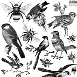 Iron Orchid Designs Birds and Bees Stamp 12” x 12”