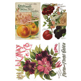 Iron Orchid Designs IOD Seed Catalogue Rub On Transfer 8 Pages, 8” x 12”