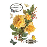 Iron Orchid Designs IOD By Any Other Name™ Rub On Transfer Pad 8 Pages, 8” x 12” Roses Butterflies