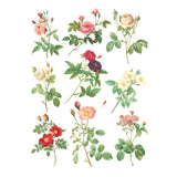 Iron Orchid Designs Rose Botanical Rub On Transfer, 8 Page Pad, 12” x 16”
