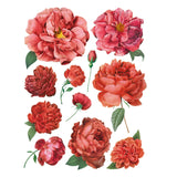 Iron Orchid Designs IOD Redoute II Rub On Transfer, 8 Page Pad, 12” x 16”