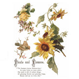 Iron Orchid Designs IOD Flowers by the Poets ™ Rub On Transfer Pad 8 Pages, 12” x 16” Iris Rose Chrysanthemum Lily Sunflowers Birds