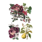 Iron Orchid Designs Clementine Rub On Transfer Pad, 8 Pages, 8” x 12”