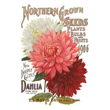 Iron Orchid Designs IOD Seed Catalogue Rub On Transfer 8 Pages, 8” x 12”