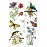 Iron Orchid Designs Wilde Bloemen Rub On Transfer Pad, 8 Pages, 8” x 12”