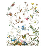 Iron Orchid Design Lost Garden Rub On Transfer Pad, 8 Pages, 12” x 16”