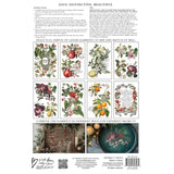Iron Orchid Designs Clementine Rub On Transfer Pad, 8 Pages, 8” x 12”