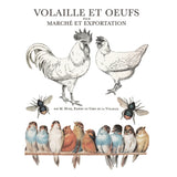 Iron Orchid Designs IOD Brocante Rub On Transfer Pad 8 Pages, 12” x 16”