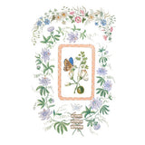 Iron Orchid Designs IOD By Emily Claire™ Rub On Transfer Pad 8 Pages, 8” x 12”