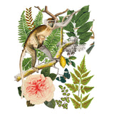 Iron Orchid Designs IOD Bungalow Rub On Transfer 8 Pages, 12” x 16”