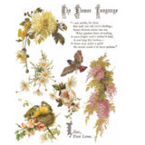 Iron Orchid Designs IOD Flowers by the Poets ™ Rub On Transfer Pad 8 Pages, 12” x 16” Iris Rose Chrysanthemum Lily Sunflowers Birds